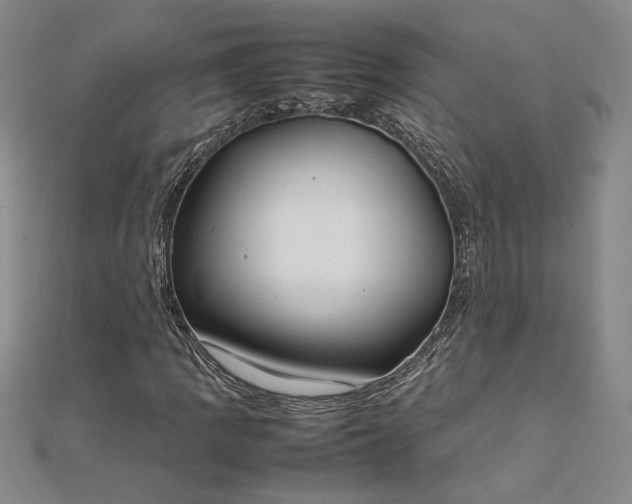 X0000112751109200909031521