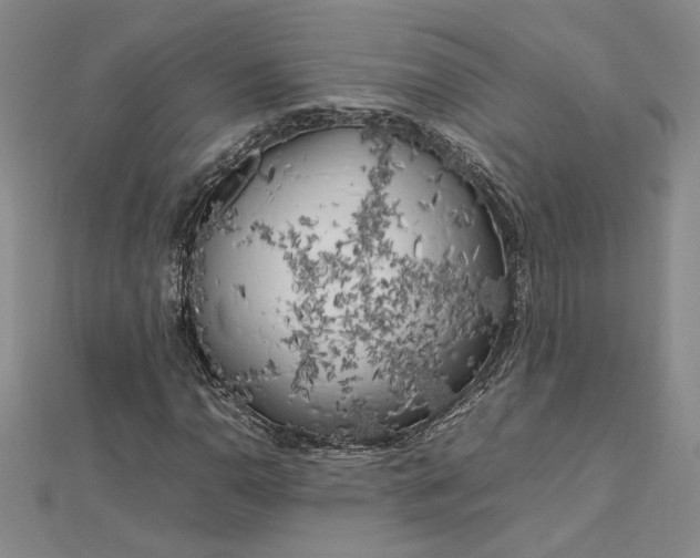 X0000112751110200909031521