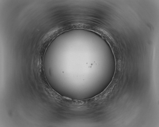 X0000112751111200909031521