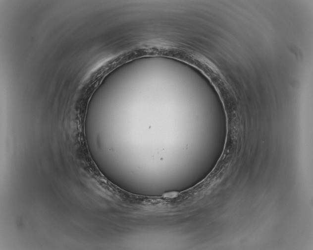 X0000112751112200909031521