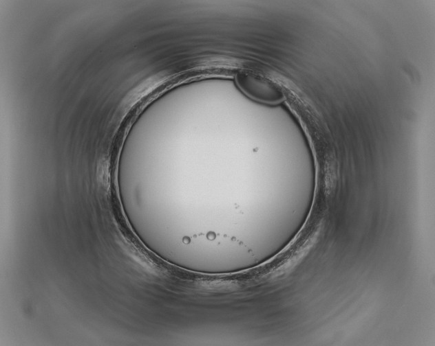 X0000112751113200909031521