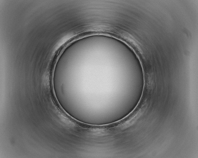 X0000112751114200909031521