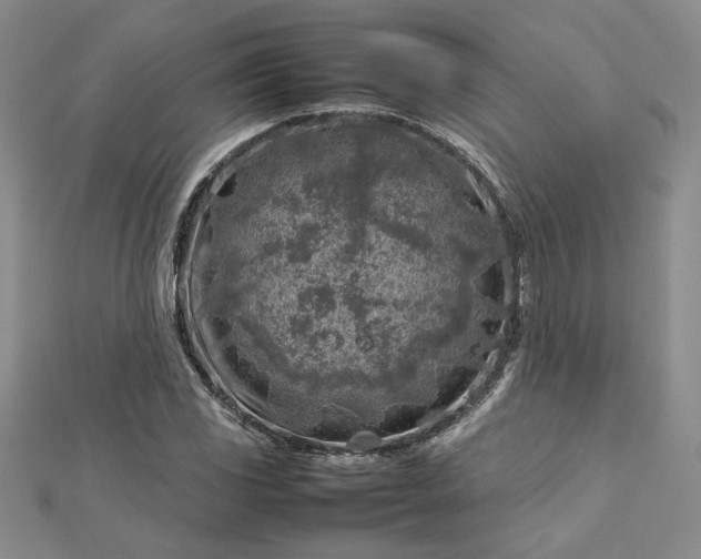 X0000112751117200909031521