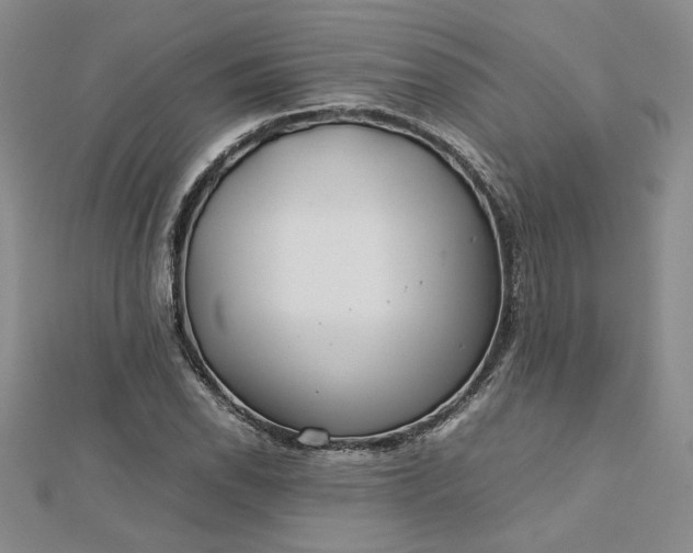 X0000112751118200909031521