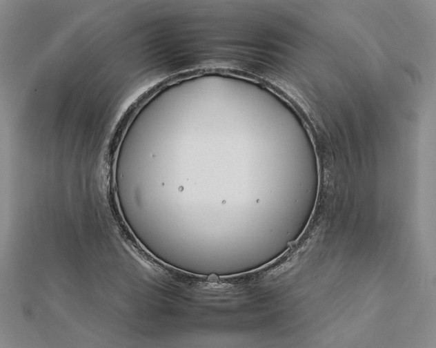 X0000112751119200909031521