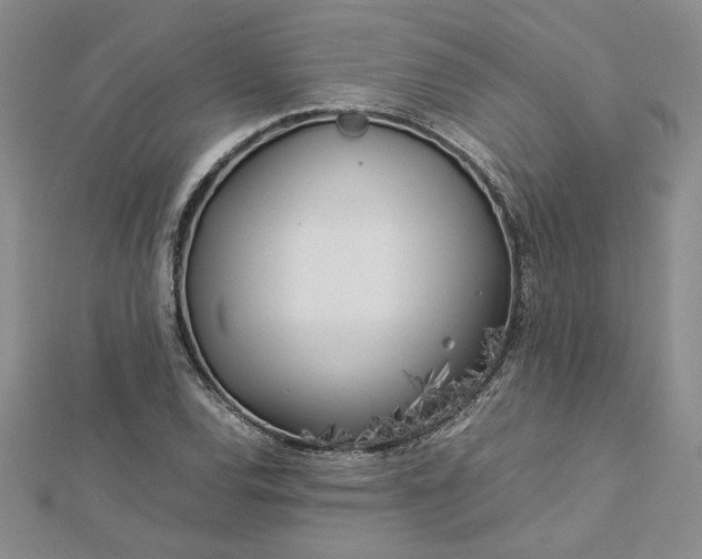 X0000112751120200909031521