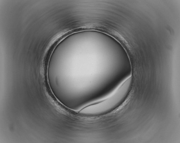 X0000112751122200909031521