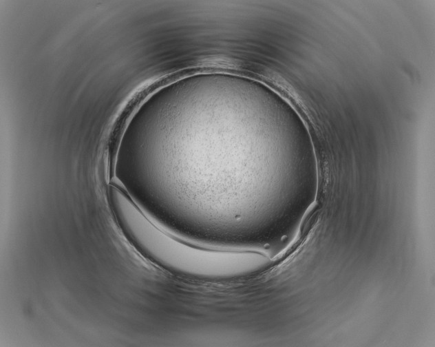 X0000112751123200909031521