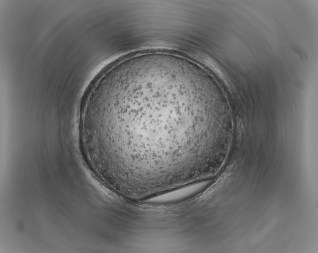 X0000112751124200909031521