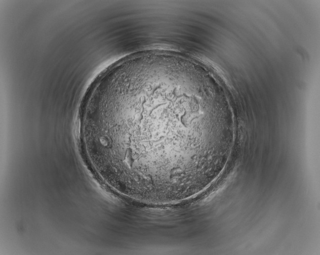 X0000112751125200909031521