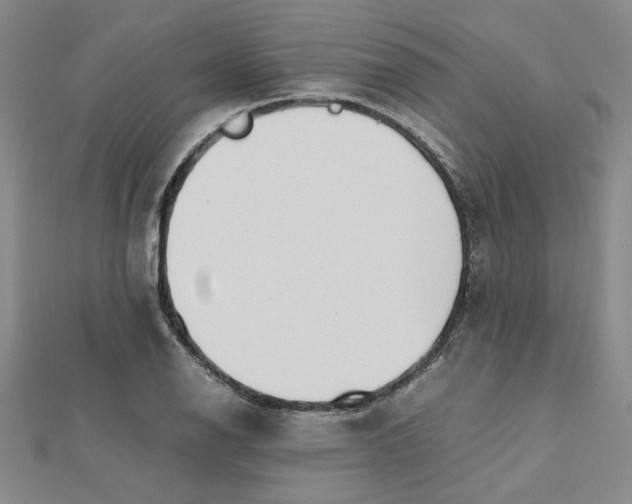 X0000112751126200909031521