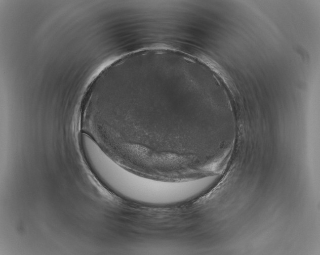 X0000112751127200909031521