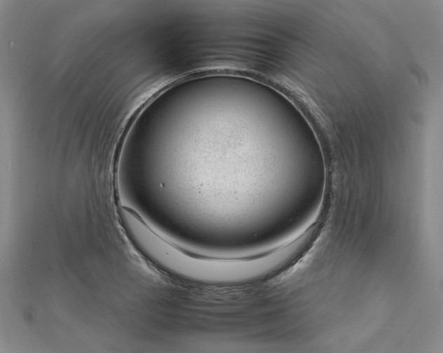 X0000112751129200909031521