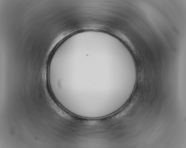 X0000112751130200909031521