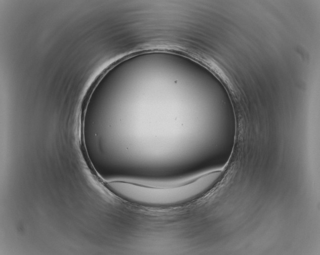 X0000112751132200909031521