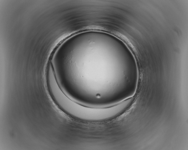 X0000112751133200909031521