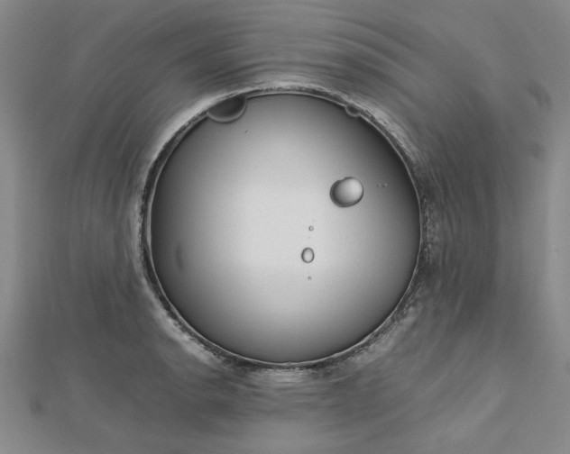 X0000112751134200909031521