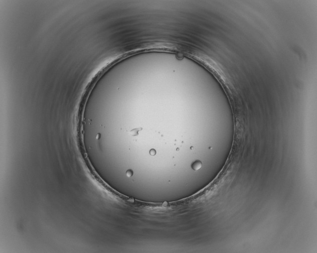 X0000112751135200909031521