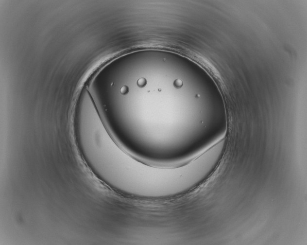 X0000112751138200909031521