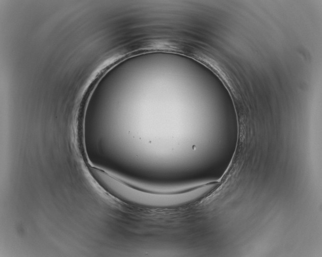 X0000112751139200909031521