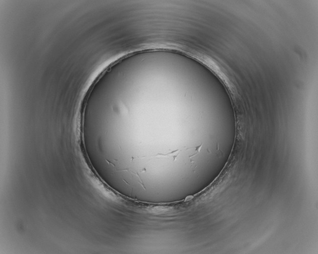 X0000112751140200909031521