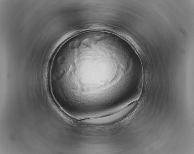 X0000112751142200909031521