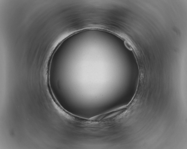 X0000112751143200909031521