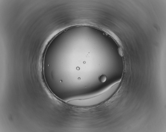 X0000112751144200909031521