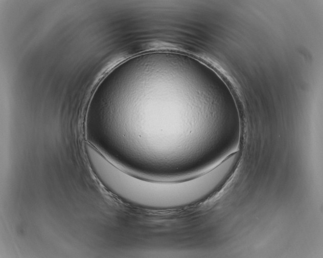 X0000112751145200909031521