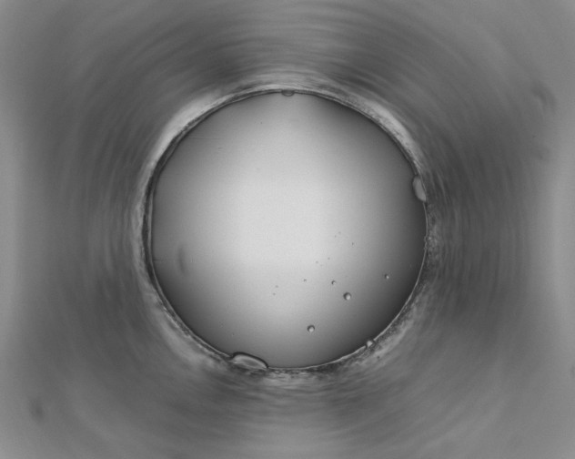 X0000112751146200909031521