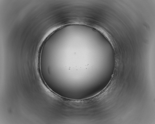 X0000112751147200909031521