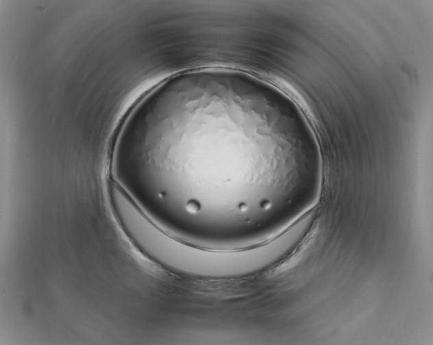 X0000112751149200909031521