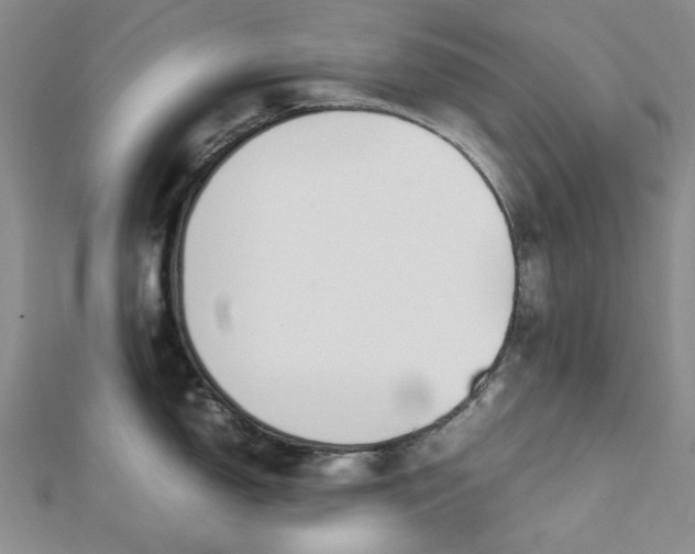 X0000112751150200909031521