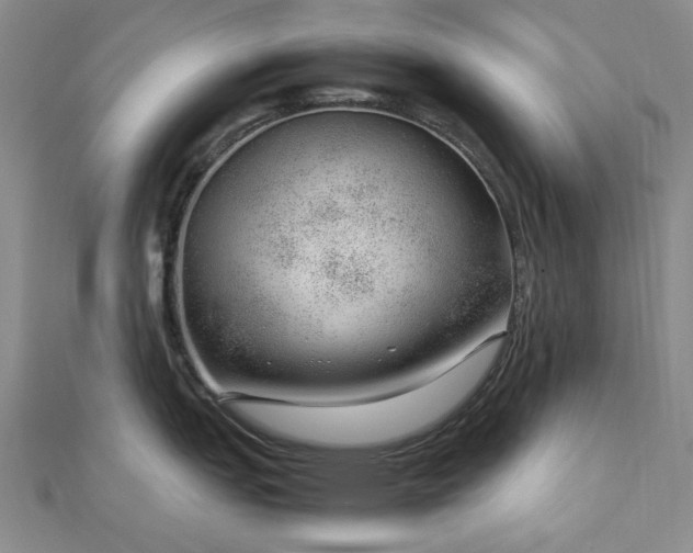 X0000112751151200909031521