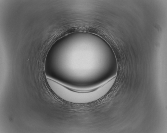 X0000112751153200909031520