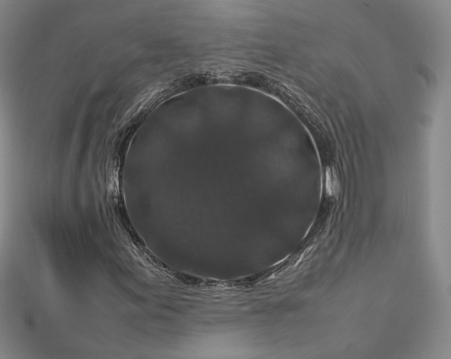 X0000112751155200909031520