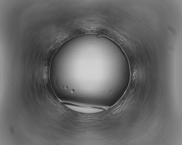 X0000112751156200909031520