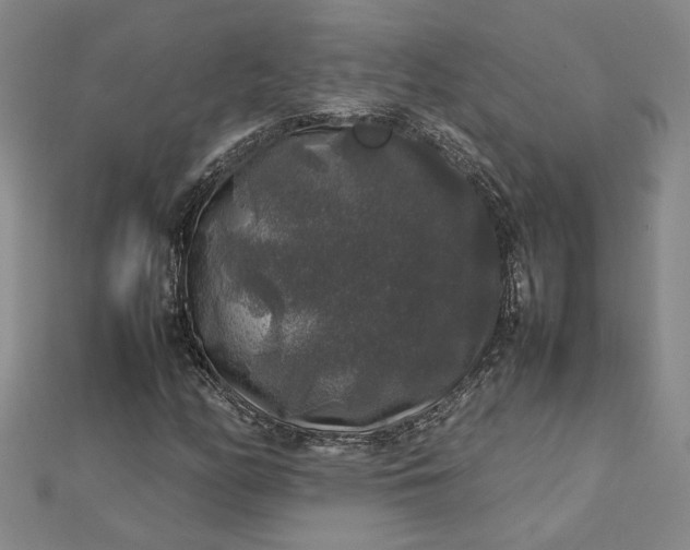 X0000112751158200909031520