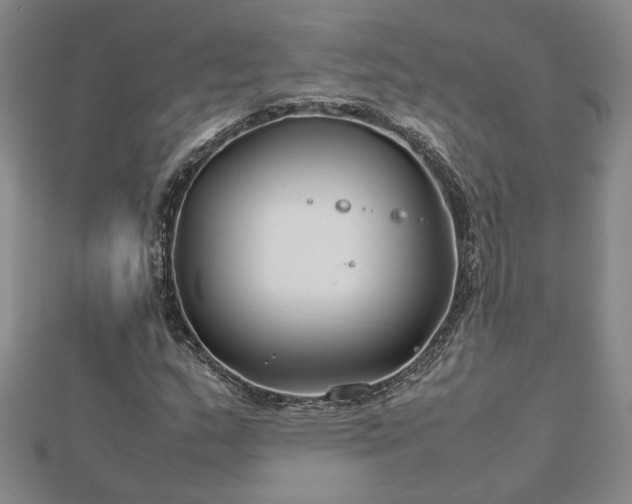 X0000112751159200909031520