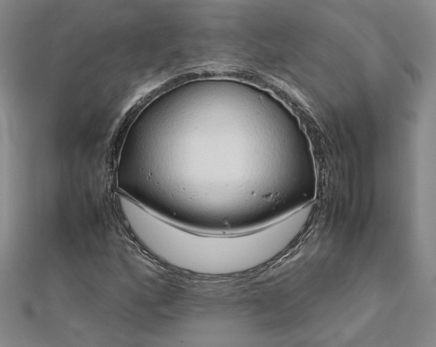 X0000112751160200909031520