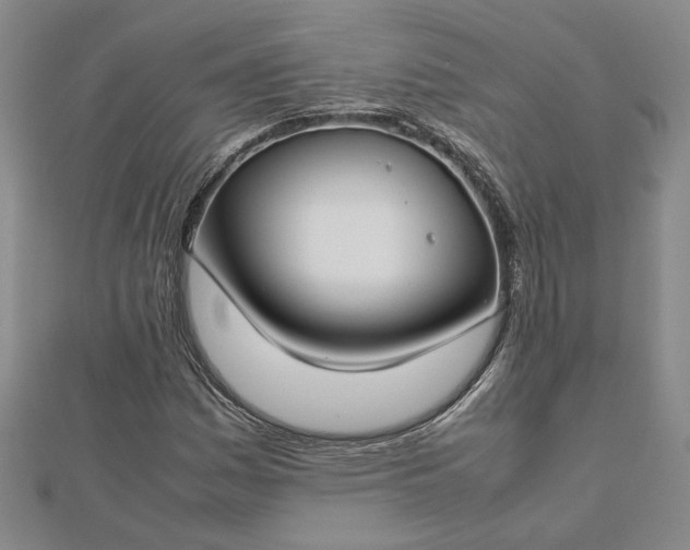 X0000112751161200909031520