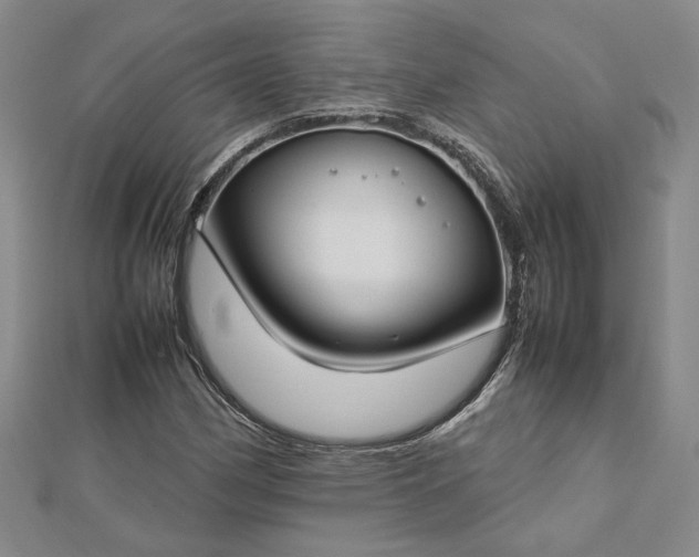 X0000112751162200909031520