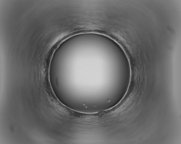 X0000112751163200909031520