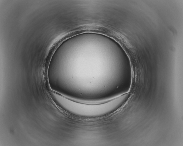 X0000112751164200909031520