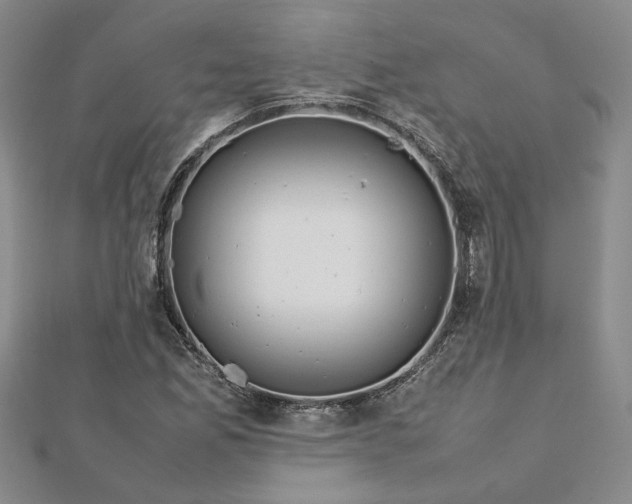 X0000112751165200909031520