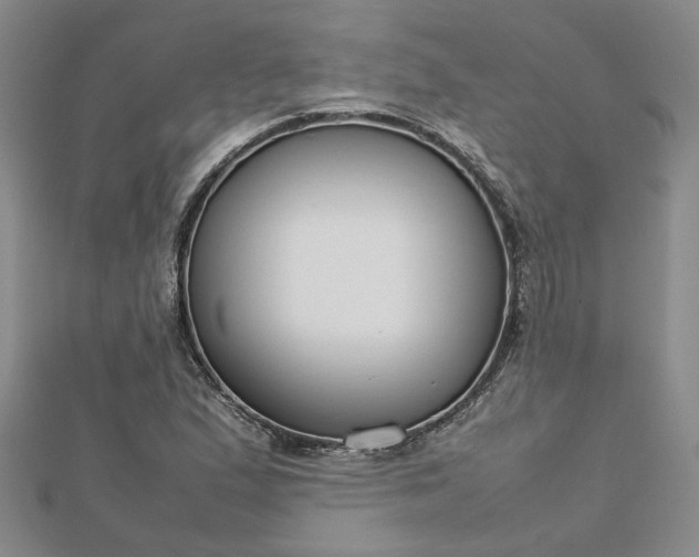 X0000112751167200909031520