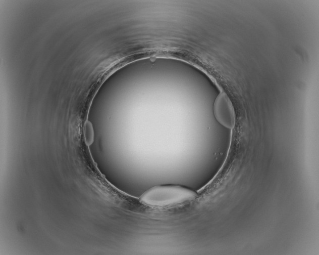 X0000112751169200909031520