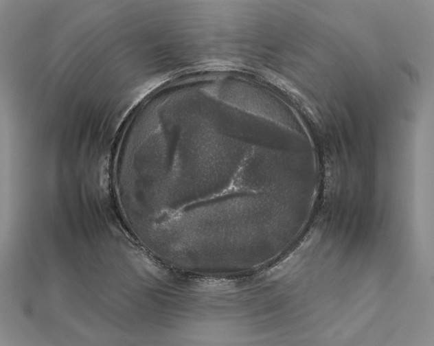 X0000112751170200909031520