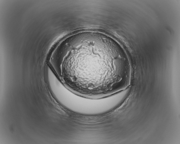 X0000112751171200909031520