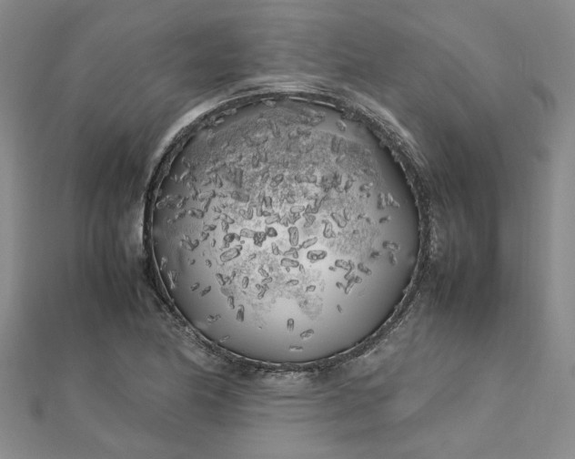 X0000112751174200909031520